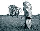 17: Stones at Avebury