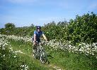 Riding between the cow parsley ...