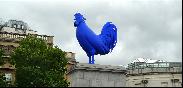 15: Big Blue cock ...