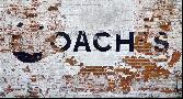 07: Coaches