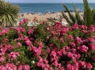 A busy afternoon on Eastbourne promenade and beach