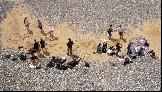 21: On the beach at Birling Gap