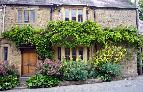 31: Dorset Cottage