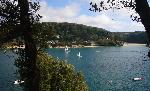 22: Salcombe