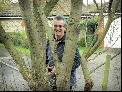 Behind the tree
