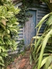 Shed door