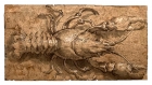 A Crayfish