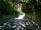 21: Dappled Light, High Street, Butleigh