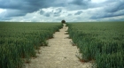 03: Path through the crop.