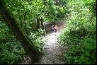 17: Walking in the woods