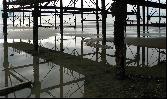 23: Reflections under Bognor Regis Pier