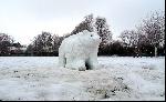 07: Polar Bear...