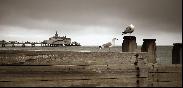 19: Pier and two gulls.