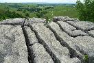 07: The limestone pavement on top of Malham Cove