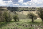 17: View across the Nature Reserve ...