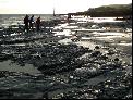 21: Low tide at sundown