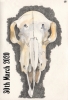 30: Skull