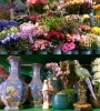 Flower shop
