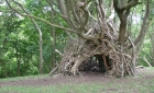 09: Now that is what I call a den!