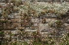 A nice bit of wall