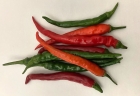 The last of the chillis