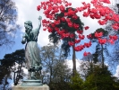 08: Reaching for Rhododendron flowers