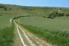 27: The path to the Long Man of Wilmington.