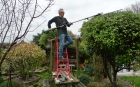 11: Red ladder on picnic table.