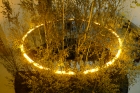 29: Yellow Forest by Olafur Eliasson ...