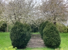 Steps up in Gildredge Park