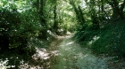 30: Dappled path.