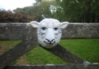 26: Sheep mask