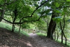The path down to East Dean