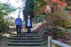 07: Steps at Bedgebury Pinetum