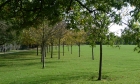 28: Crystal Palace Park