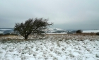 08: View from the Trig Point looking west.