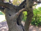 28: Growth