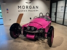 Pink Morgan