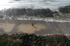 24: Looking Down at low tide